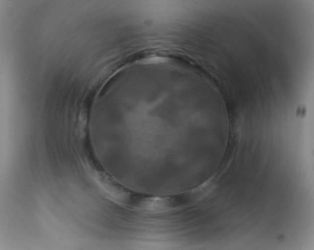 X0000113050082200908271541