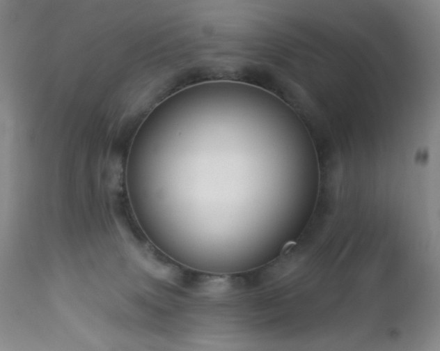 X0000113050083200908271541