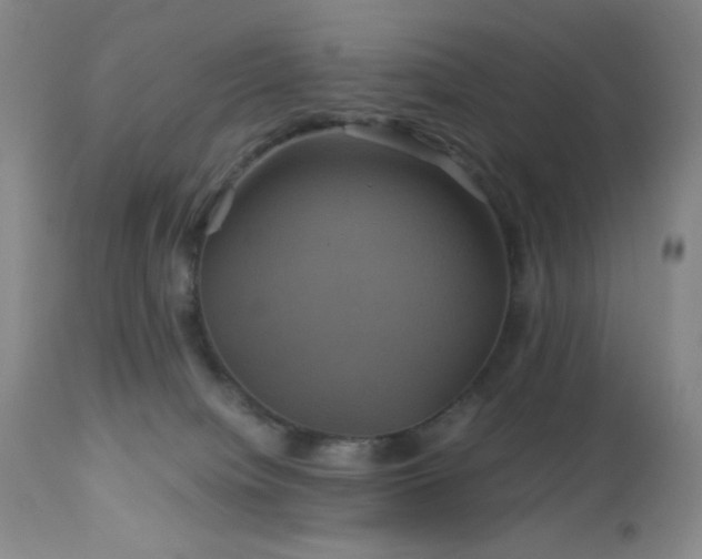 X0000113050084200908271541