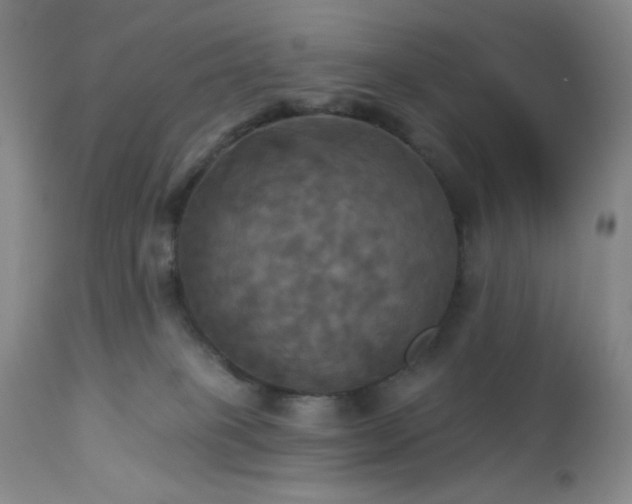 X0000113050085200908271541