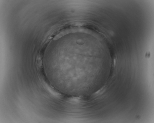 X0000113050086200908271541