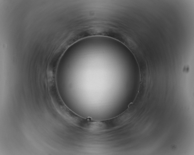 X0000113050087200908271541