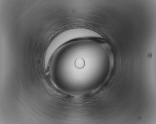 X0000113050088200908271541