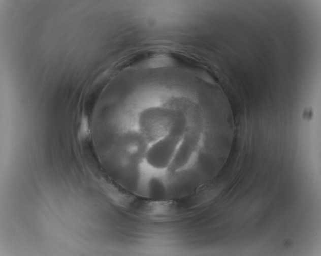 X0000113050089200908271541