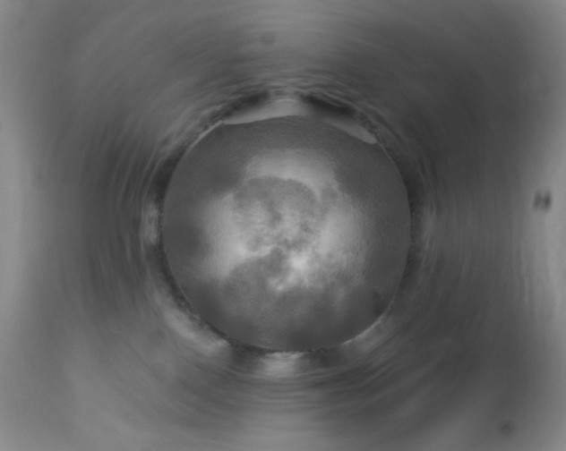 X0000113050090200908271541