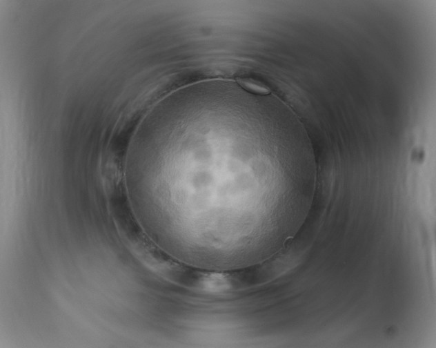 X0000113050091200908271541