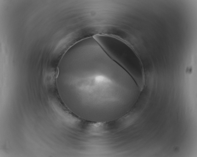 X0000113050092200908271541