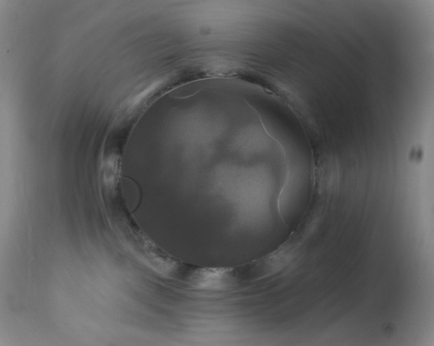 X0000113050093200908271541