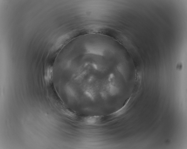 X0000113050094200908271541