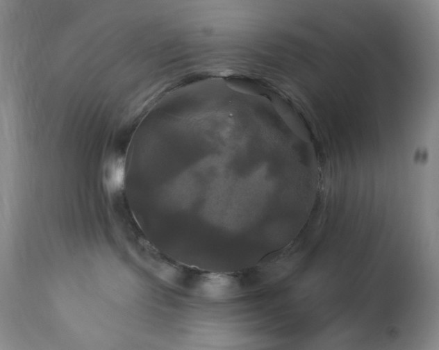 X0000113050095200908271541