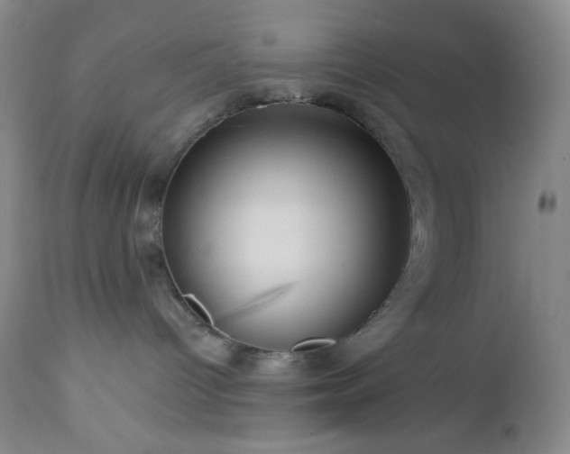 X0000113050096200908271541