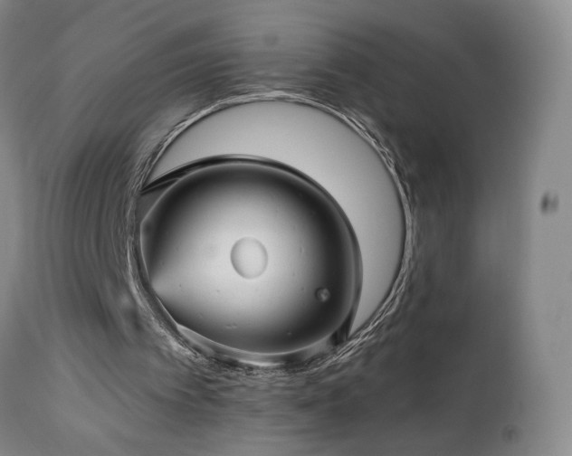 X0000113050097200908271540