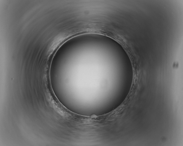 X0000113050098200908271540