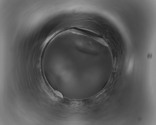 X0000113050099200908271540