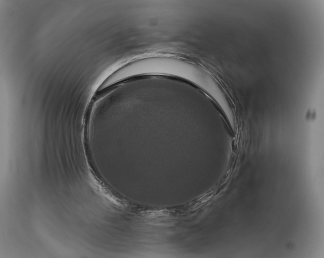 X0000113050100200908271540