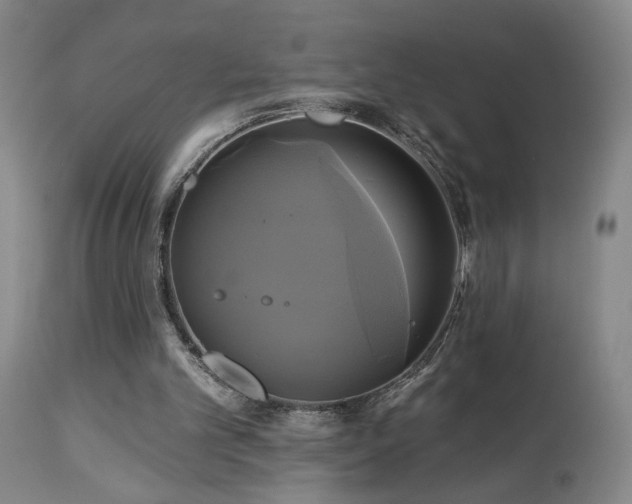 X0000113050101200908271540