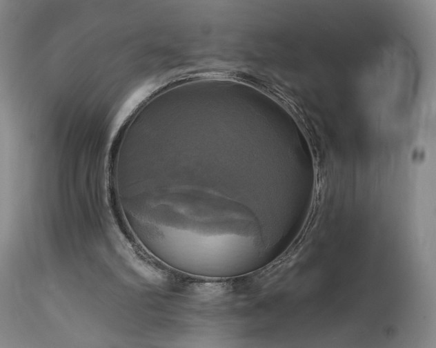 X0000113050102200908271540