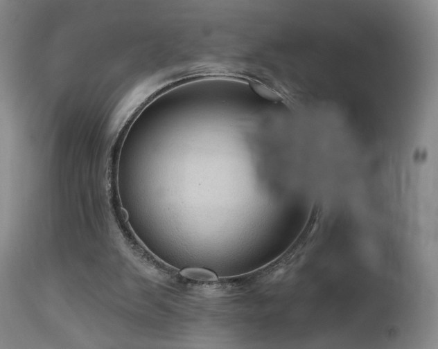 X0000113050103200908271540