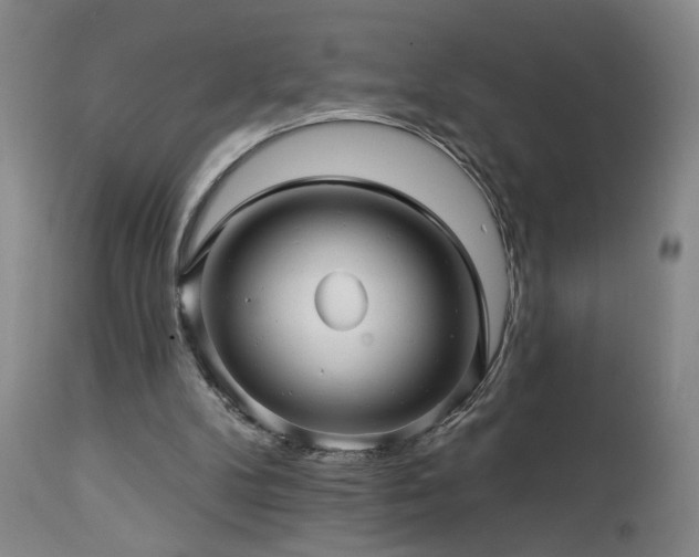 X0000113050104200908271540