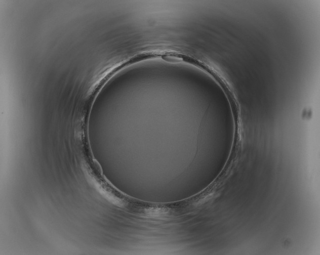 X0000113050105200908271540