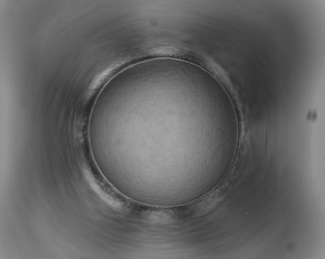 X0000113050106200908271540