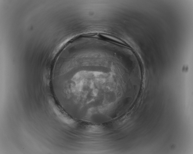 X0000113050107200908271540