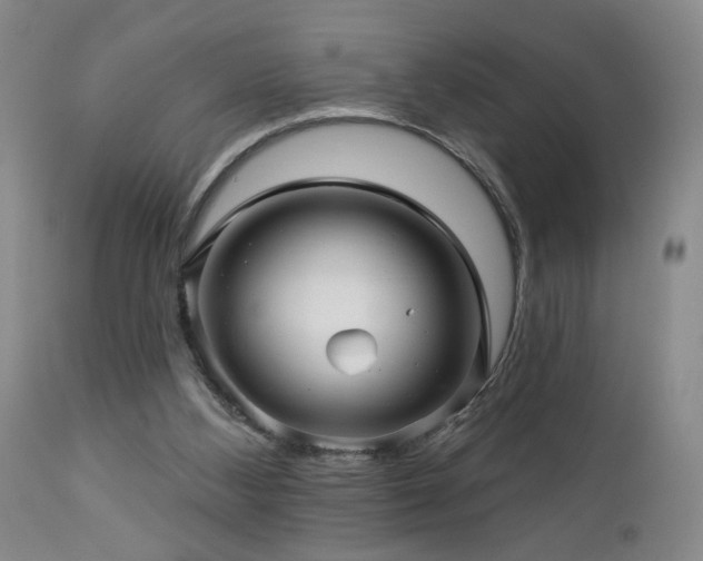 X0000113050108200908271540