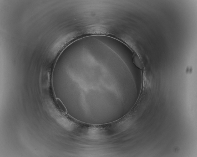 X0000113050109200908271540