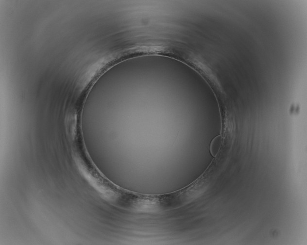 X0000113050110200908271540