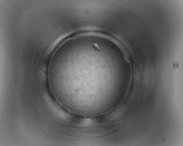 X0000113050111200908271540