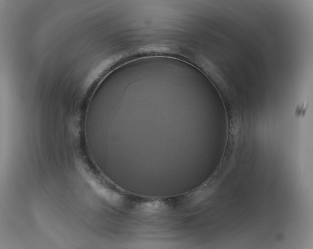 X0000113050112200908271540