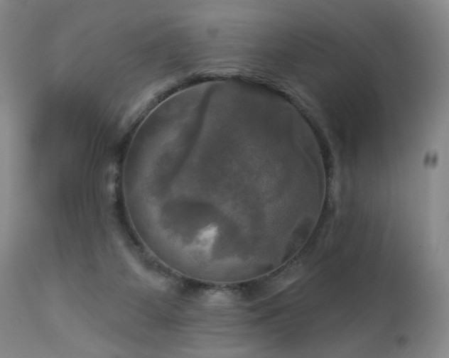 X0000113050115200908271540