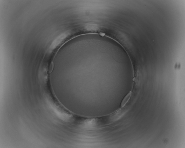 X0000113050116200908271540