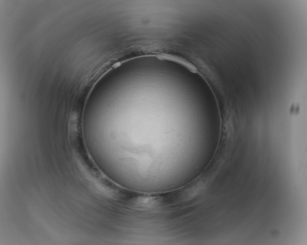 X0000113050117200908271540