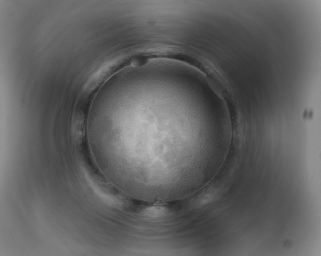 X0000113050119200908271540