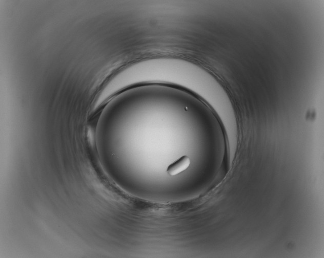 X0000113050120200908271540