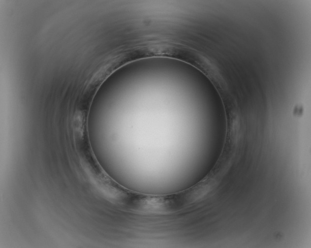 X0000113050121200908271540