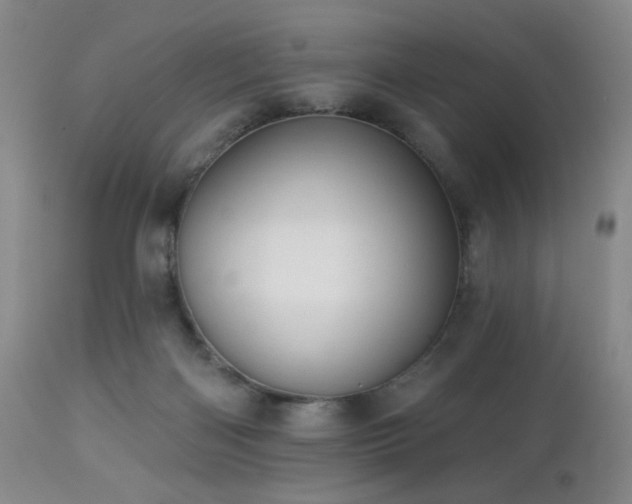 X0000113050122200908271540