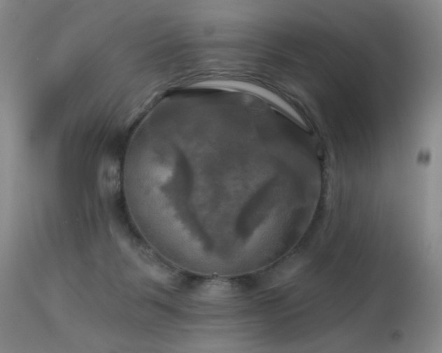 X0000113050123200908271540