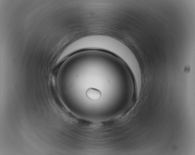 X0000113050124200908271540