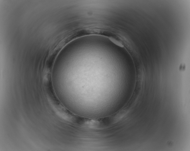 X0000113050125200908271540