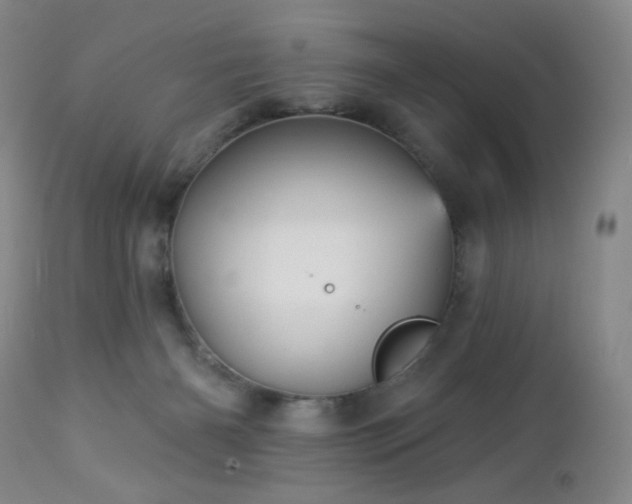 X0000113050126200908271540