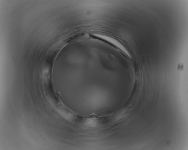 X0000113050127200908271540