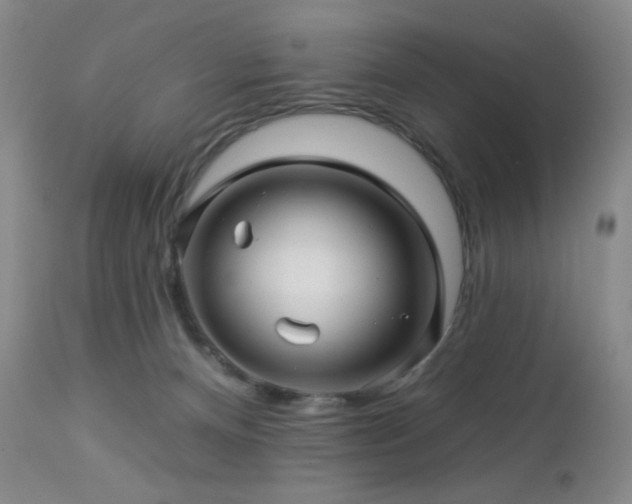 X0000113050128200908271540