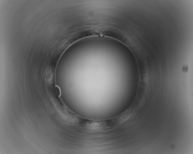 X0000113050129200908271539