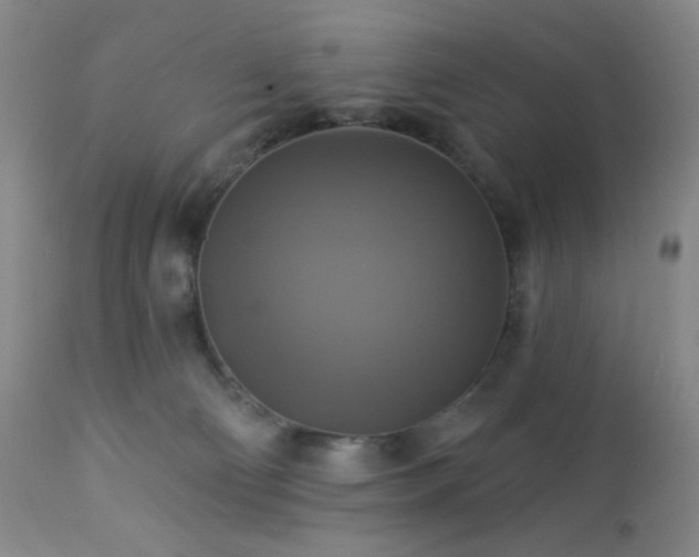 X0000113050130200908271539