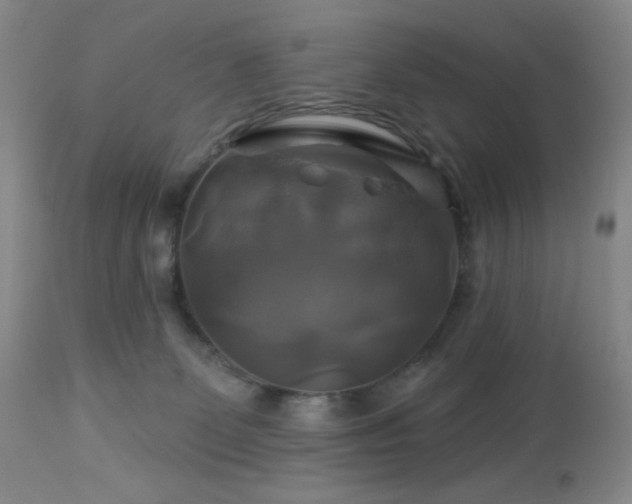 X0000113050131200908271539