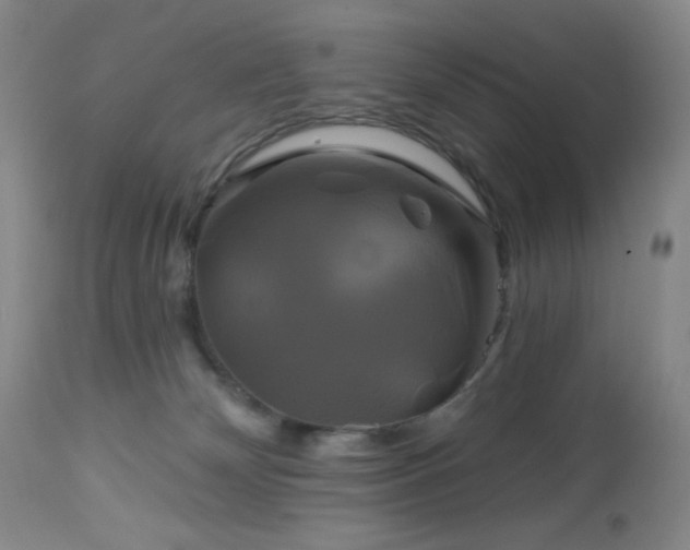 X0000113050132200908271539