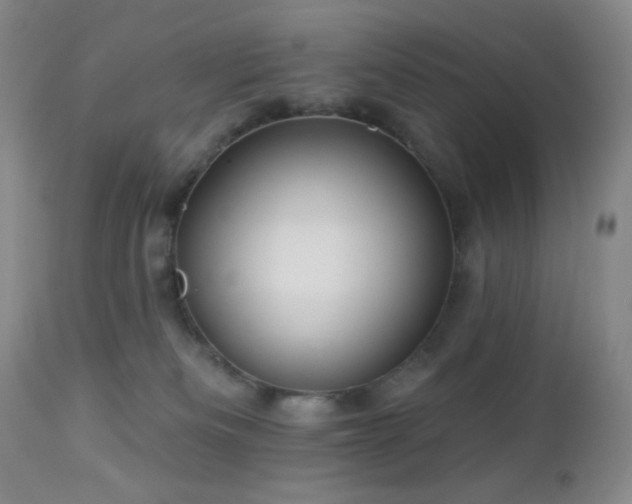 X0000113050133200908271539