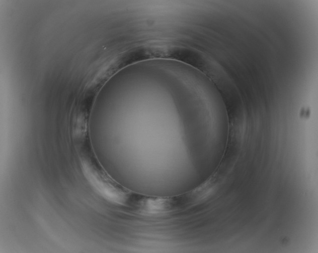 X0000113050134200908271539